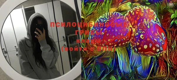 сатива Дмитров