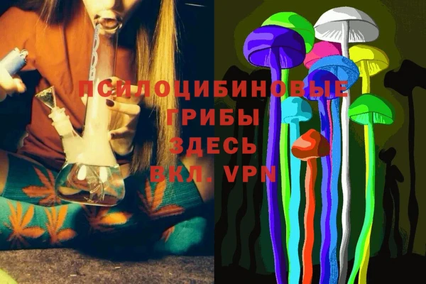 бошки Дмитровск
