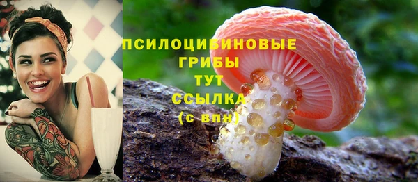 бошки Дмитровск