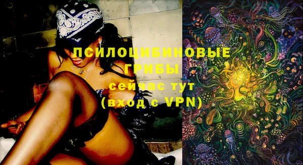 бошки Дмитровск